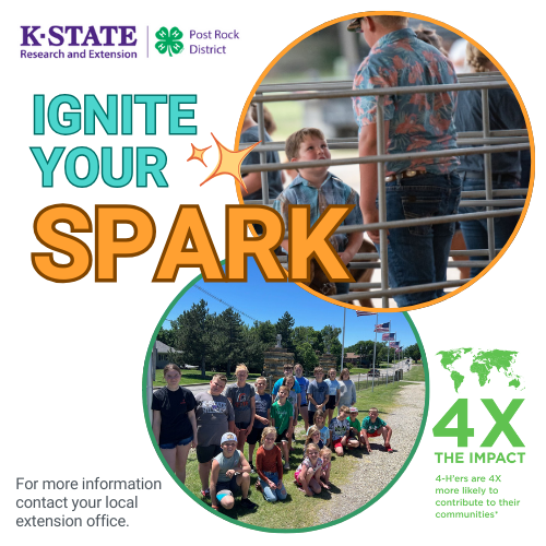 Ignite your Spark join 4-H