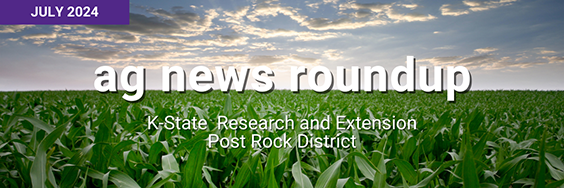 July 2024 Ag News Roundup K-State Research and Extension