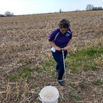 Sandra taking a soil sample in the field