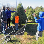 Family picking out Christmas tree