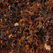 Compost a lot of multicolored mulched up leaves