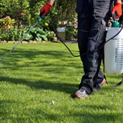 Person spraying the lawn for weeds