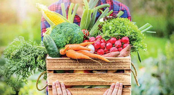 Woman holding crate of vegetables