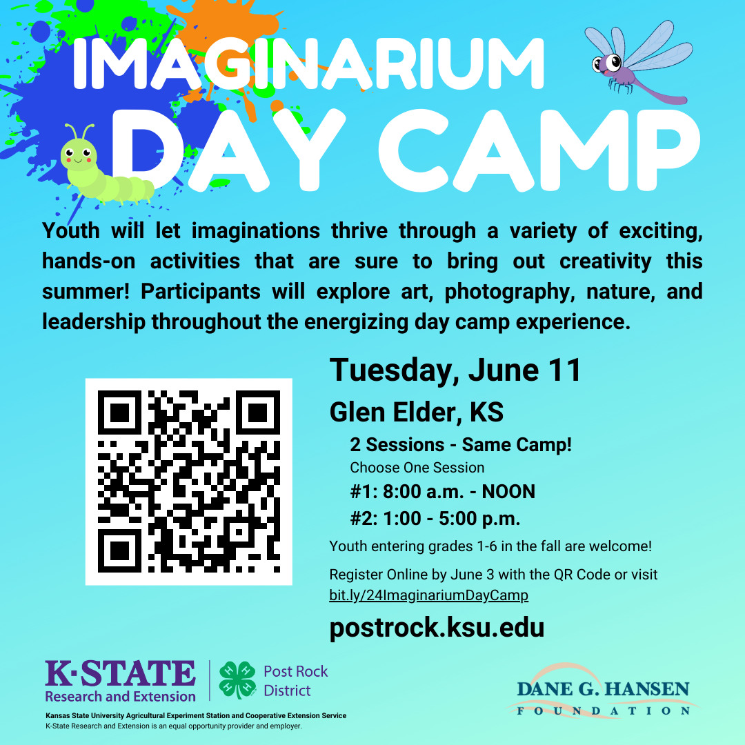 Imaginarium Day Camp
